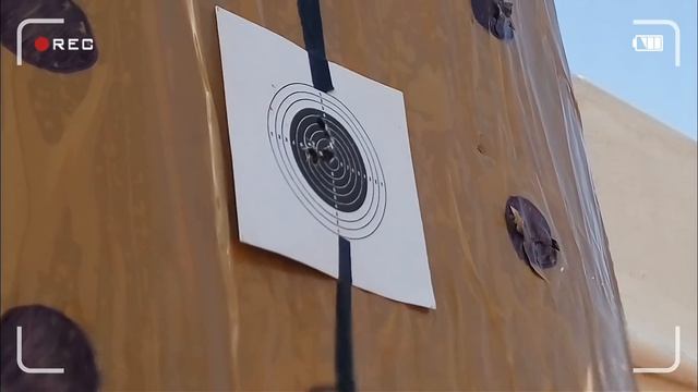 New Percihole VX100 | Indian Air Rifle | Accuracy Review | with G-Smith P10 .177 Pellets смотреть онлайн