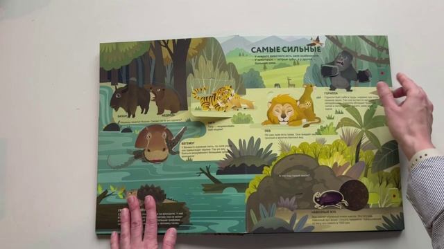 Буктрейлер по книге «Удивительные животные» смотреть онлайн