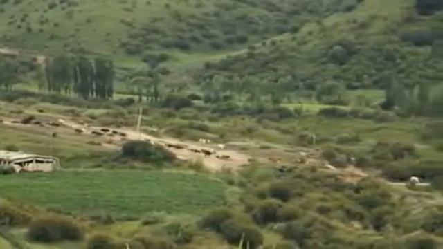 Калыев Анарбек смотреть онлайн