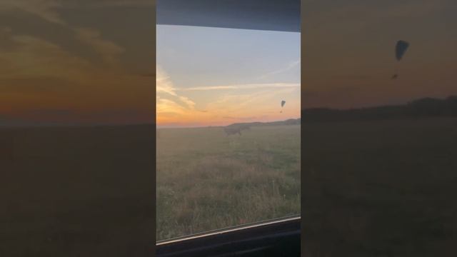 Новый Способ пасти коров✌️ смотреть онлайн