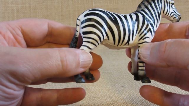 Mojo (HK) Limited Wildlife Zebra Product Code # 387169 Review
