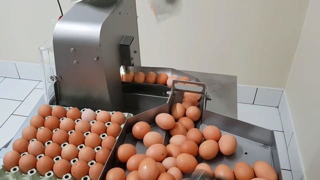 Vacuum egg breaker RZ-0 from OVO-TECH, Poland смотреть онлайн