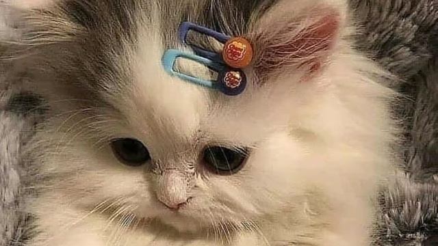 Мне слили твои фотографии... смотреть онлайн