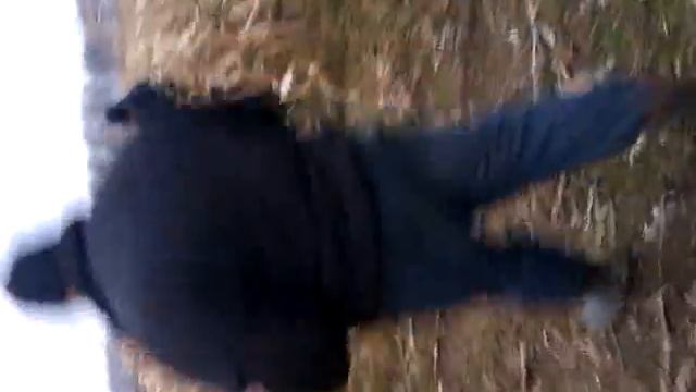 Уборка кукурузы ОАО Новая любания смотреть онлайн