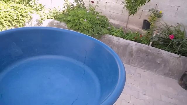 المحجبه لازم تحترم حجابها بكل الطرق ✌️خلاصة تجربة زواج ١٧ سنه والسر لحياة زوجيه مريحه 🤍أيام من حيات смотреть онлайн