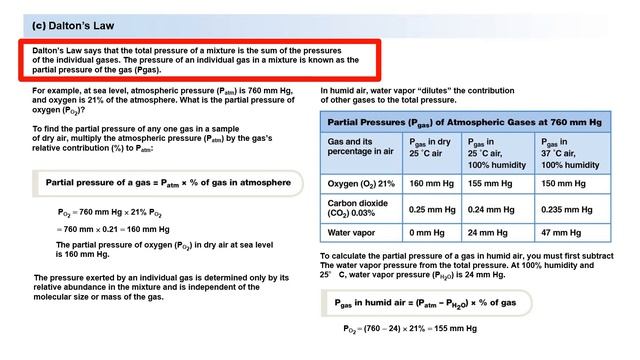 17b - BIOL 330 - Chapter 17, Part 2 - Breathing Mechanics смотреть онлайн