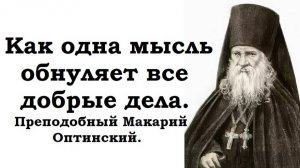 Как одна мысль обнуляет все добрые дела. Преподобный Макарий Оптинский.