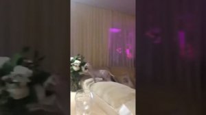 Что же ты такая волосатая