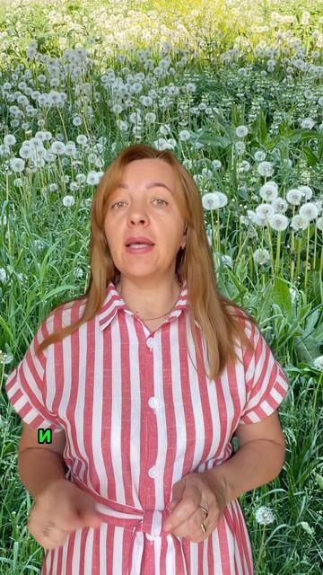 Маринад для шашлыка #шашлык #шашлыки #отпуск #отдых #природа #маринаддлямяса #маринаддляшашлыка смотреть онлайн