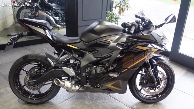 まだ間に合う!?「Ninja ZX-25R SE」2022年モデルをご紹介致します！足付き＆カラーチェックも！カワサキゾーン / KAWASAKI ZONE смотреть онлайн