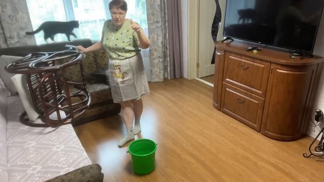 895/ Котлеток рыбных захотелось, да порядки навожу! смотреть онлайн