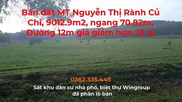 Bán đất MT Nguyễn Thị Rành Củ Chi, 9012 9m2, ngang 70 82m, Đường 12m giá giảm hơn 25 tỷ смотреть онлайн