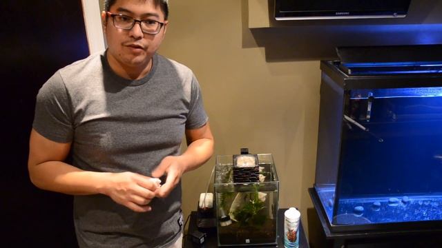 setting up a planted tank Pt.3 смотреть онлайн