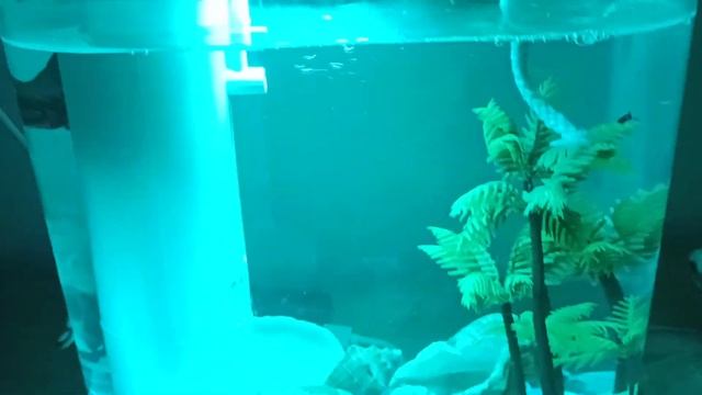Xiaomi HF-JHYGZH001 Descriptive Geometry Ecological Fish Tank Aquarium смотреть онлайн