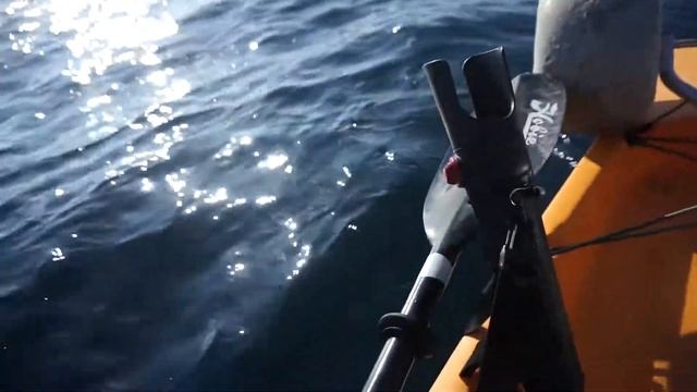 Hobie Pro Anlger 14 Rigged for Offshore Kayak Fishing PCB смотреть онлайн