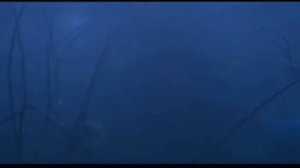 Random Girl Drowning Scene #3