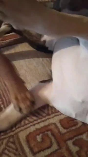 И снова у нас разногласия ) Оба же "камандиры"🤣🤣 смотреть онлайн