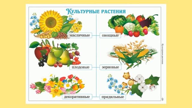 Человек и мир, 2 класс, наглядное пособие смотреть онлайн