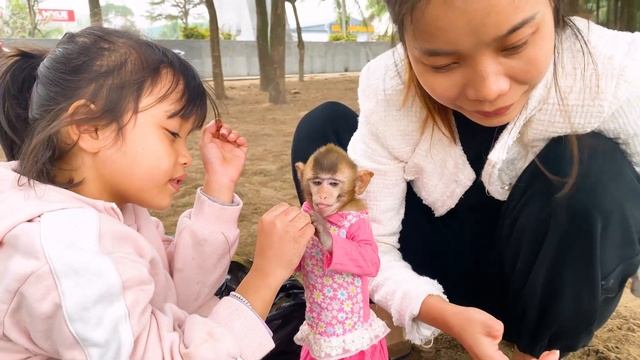 Smart monkey Annie goes on a picnic with her mother смотреть онлайн