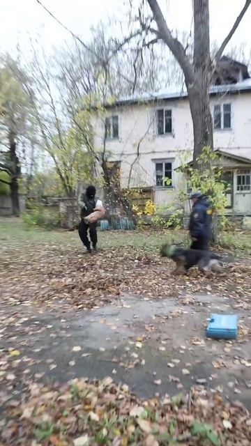 В РГСУ работают лучшие охранники территории и имущества сотрудников и студентов смотреть онлайн