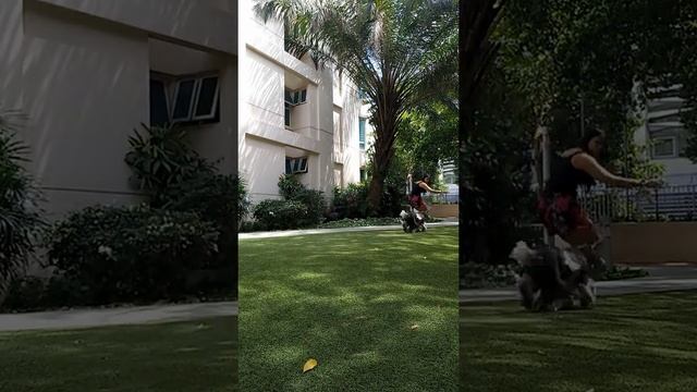 ono e asu , kucing e ora ono wes bismillah wae🙂 смотреть онлайн