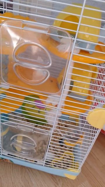 25 мая 2024 г. смотреть онлайн