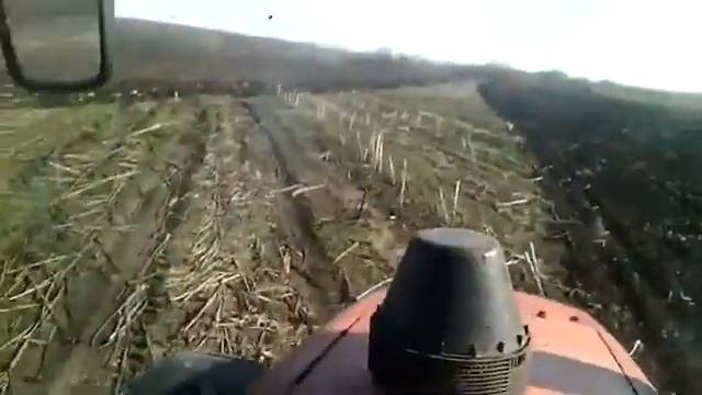 Дубовое смотреть онлайн