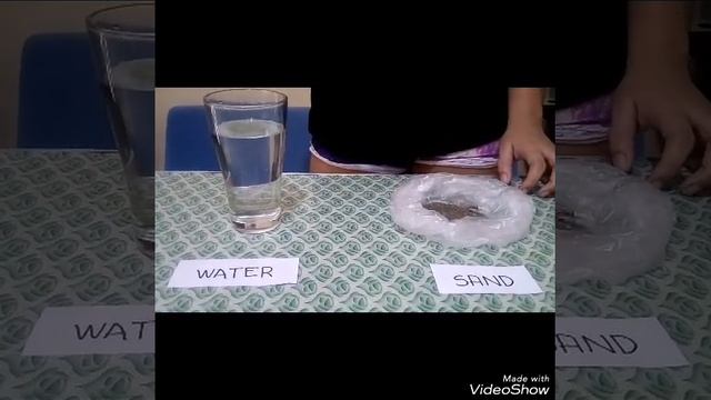 3 kinds of mixture ( solution, suspension, colloid) смотреть онлайн