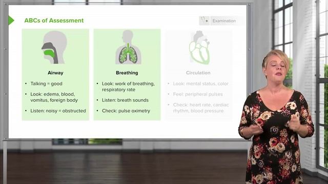 ABC Assessment смотреть онлайн