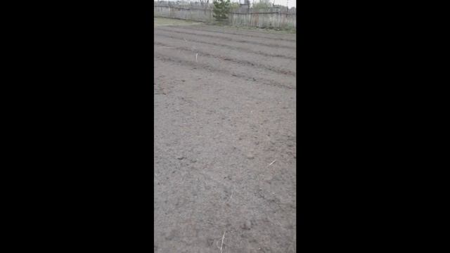 Куда дею излишки Дендробены! смотреть онлайн