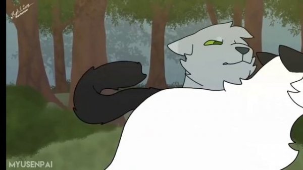 ||Map darktail warriors cats коты воители | BlacK FaLcoN |