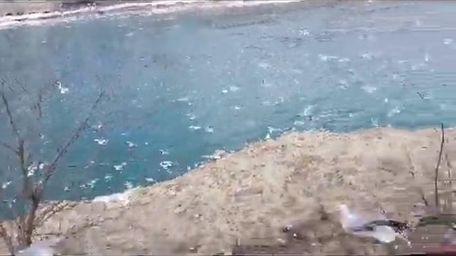 Чайки на Ниагаре смотреть онлайн