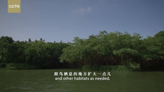 Greater Bay Area Series | Episode 12: Ancient Tianma Village смотреть онлайн