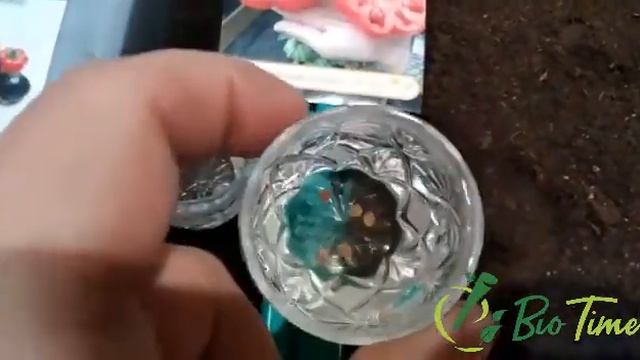BioTime Инструкция применение отзыв. смотреть онлайн