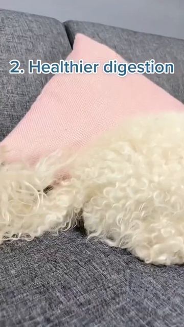 5 benefits of feeding your dog FRESH food смотреть онлайн