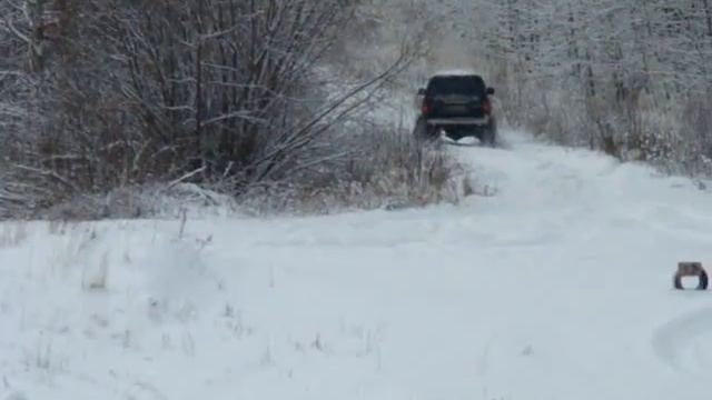 4х4 спринт смотреть онлайн