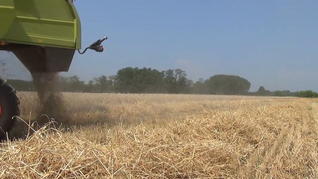 Mietitura Frumento 2013 - CLAAS Tucano 430 + C450 смотреть онлайн