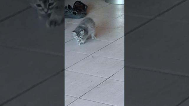 Массаж сердца смотреть онлайн