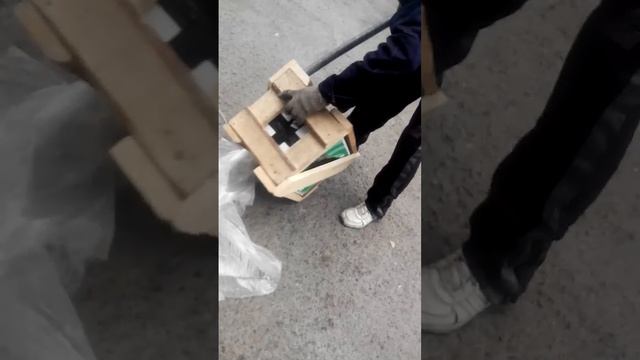 магнум 12 д2 смотреть онлайн