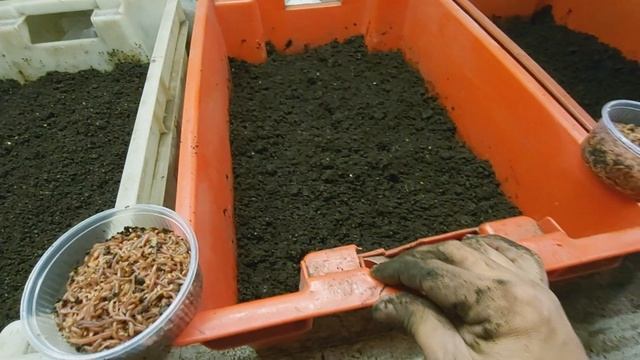 Эксперимент с субстратами. 1 часть. смотреть онлайн