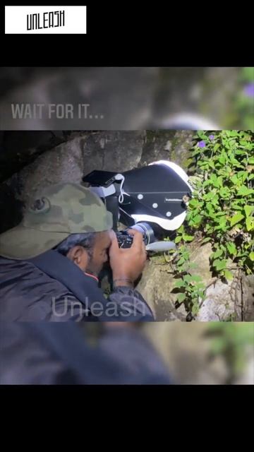 Woot for the shots !A Behind the scene reel from my recent Munnar Herping trip | Unleash #shorts смотреть онлайн