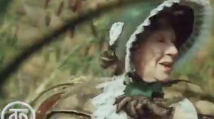 Приключения Буратино Романс Тортиллы Триста лет тому назад 1975_360p