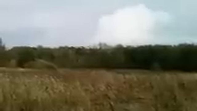 Крик Чупакабры