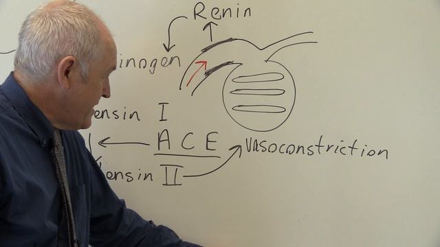 Renal System 10, Maintance of blood pressure смотреть онлайн