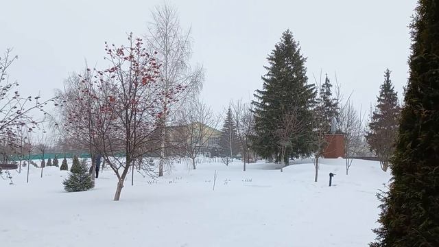 АЛЕКСЕЕВКА🏘ЗИМА/ЦЕНТР смотреть онлайн