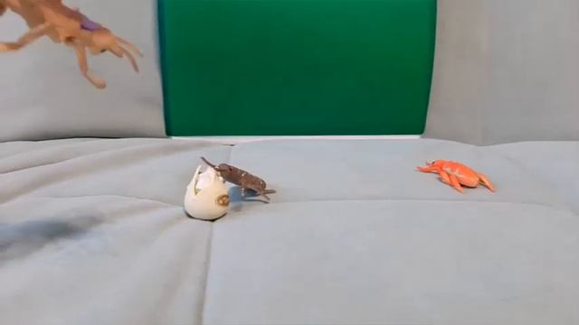 Благородный кузнечик💚😘🦗 смотреть онлайн