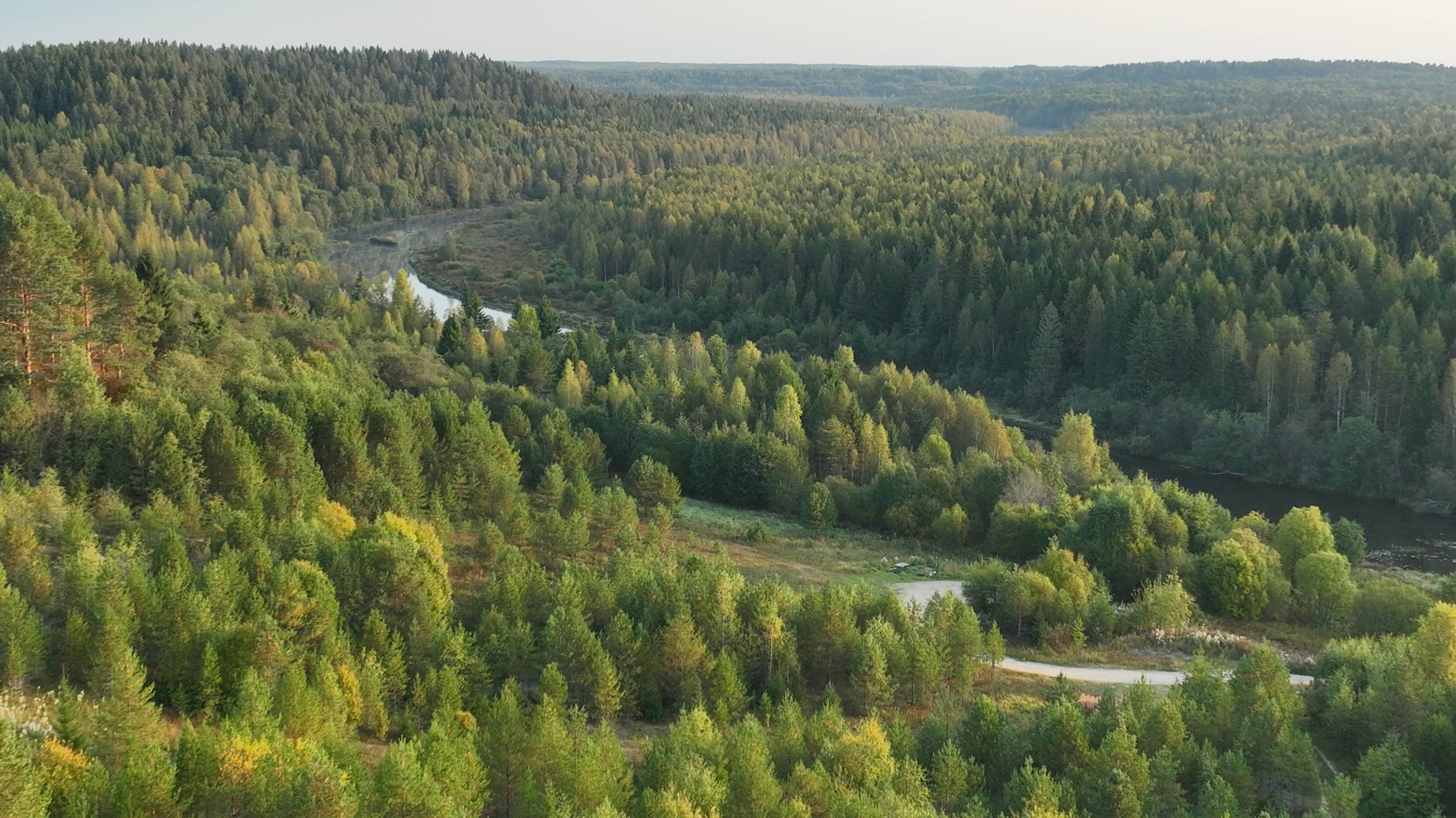 ВОЖЕГА и ВОЖЕГОДСКИЙ РАЙОН – 2024. 5-я серия: УТРО В СЕВЕРНЫХ ДЕРЕВНЯХ смотреть онлайн