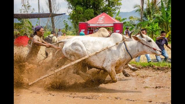 Nikon D7000 Sample Photos With Nikkor 18-105mm F/3.5-5.6 G ED VR смотреть онлайн