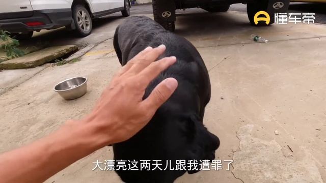 历经半个月改装的北汽勇士战车，终于可以正常上路了，好戏在后头【黑妞乐途】 смотреть онлайн
