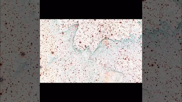 Missing Linkx + Brock Van Wey - Who to Call + Forever a Stranger [Section] смотреть онлайн